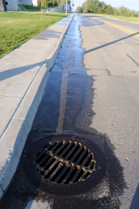 Gutter and drain